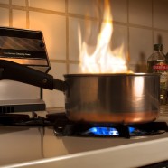 Mutuelle des Hôtels – Cafés – Restaurants – Régime frais de santé HCR Mutuelle des Hôtels – Cafés – Restaurants – Régime frais de santé HCR